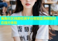 海角社区线路检测平台智能监测网络状态提升体验