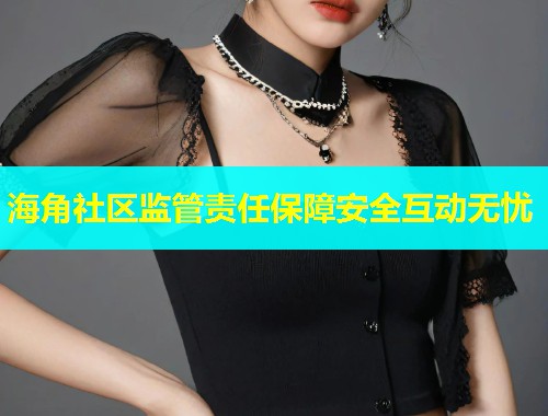 海角社区监管责任保障安全互动无忧  第1张